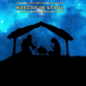 Ilie Bândiul - Născut În Staul Negativ (2021)