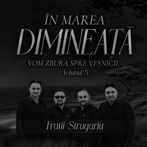 Frații Strugariu - În Marea Dimineață Negative - Volumul 5