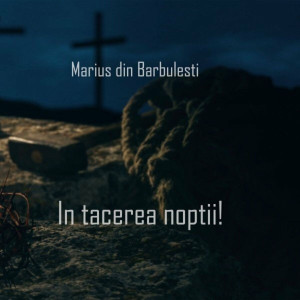 Marius Din Barbulesti - In Tacerea Noptii! (2021)