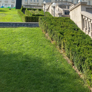 Onisim Grab - Învață-Mă (2025)