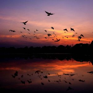 Marius Mikhail - Isus, M-ai Cuprins (2024)