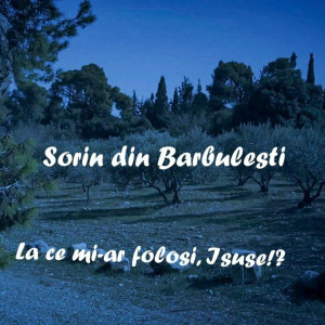 Sorin din Barbulesti - La Ce Mi-Ar Folosi, Isuse! (2021)