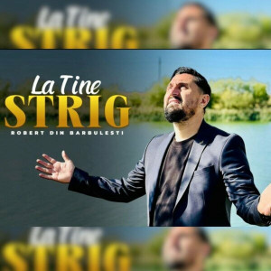 Robert Din Barbulesti - La Tine Strig (2024)