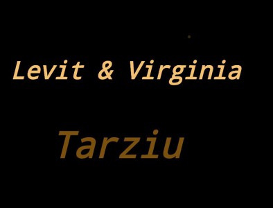 Levit si Virginia - Tarziu (2003)