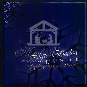 Ligia Bodea - Stele de argint