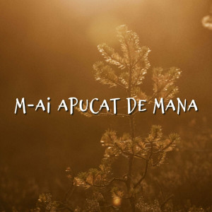 Muzica Crestina Noua - M-Ai Apucat De Mana (2024)