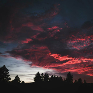 Daniel Spoială - M-Ai Născut Din Nou (2024)