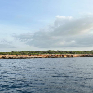 Onisim Grab - Mă Recunosc (2025)