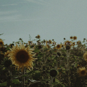 Toni Thunder - Mai Aproape De Tine (2024)