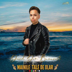 Madalin Covaciu - Mâinile Tale De Olar (2023)