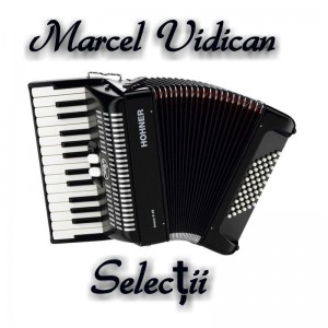 Marcel Vidican - Selectii Negative