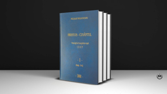 Nicolae Moldoveanu - Meditații la Ev. după Ioan