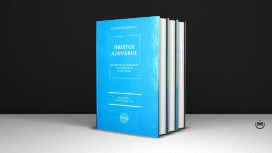 Nicolae Moldoveanu - Meditații la Ev. după Matei