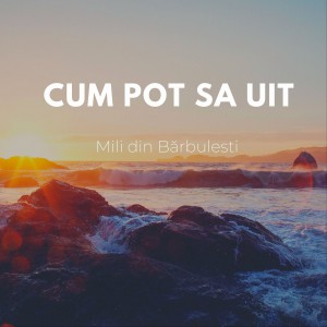 Mili din Bărbuleşti - Cum Pot Sa Uit (2022)