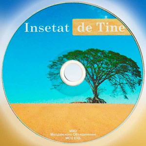 Muzică Creștină - Insetat De Tine (2012)