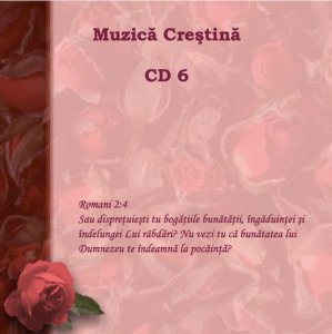 Diversi Artisti - Muzica Veche CD 6