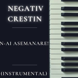 Negativ Crestin - N-Ai Asemanare! (Instrumental)