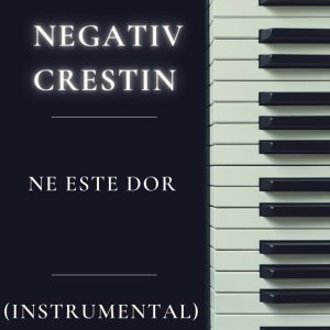 Negativ Crestin - Ne Este Dor (Instrumental) (2026)