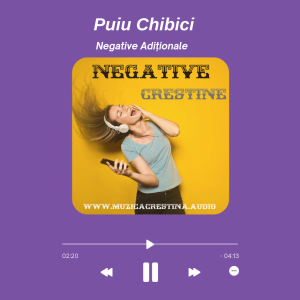 Puiu Chibici - Negative Adiționale (2023)