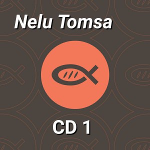 Nelu Tomsa - Cea mai minunată zi (2011)