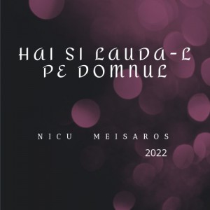 Nicu Meisaros - Hai Si Lauda-L Pe Domnul (2022)