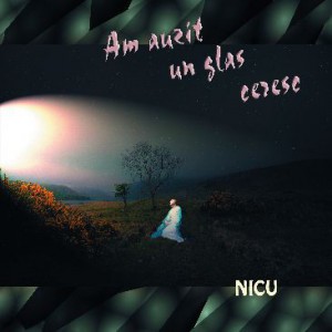 Nicu Zoleszak - Am auzit un glas ceresc