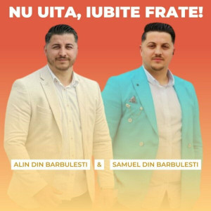 Alin din Barbulesti - Nu Uita, Iubite Frate! (2023)