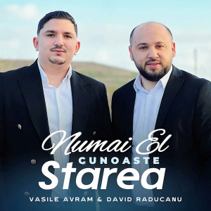 Vasile Avram - Numai El Cunoaste Starea (2024)