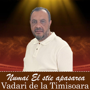 Vadari De La Timisoara - Numai El Stie Apasarea (2025)
