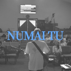 Ovidiu Roman - Numai Tu