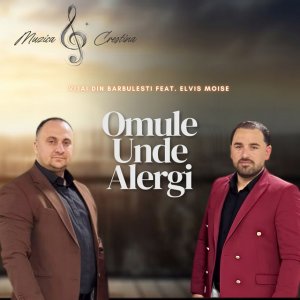 Vijai Din Barbulesti - Omule Unde Alergi (Muzica Crestina)