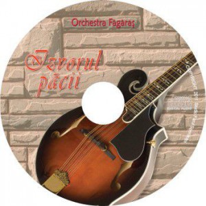 Orchestra de man­do­line Făgăraș - Izvorul pă­cii (2011)