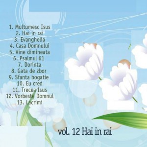 Ovidiu Liteanu - Hai În Rai Vol.12 (2013)