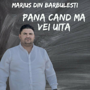 Marius Din Barbulesti - Pana Cand Ma Vei Uita (2024)