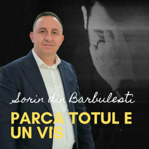 Sorin din Barbulesti - Parca Totul E Un Vis (2024)