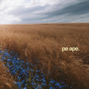 Origin.wrshp - Pe Ape