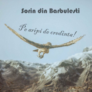Sorin din Barbulesti - Pe Aripi De Credinta! (2017)