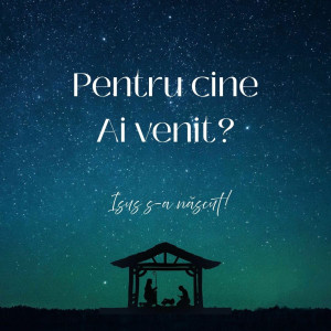 Andreea Damian - Pentru Cine Ai Venit (2025)