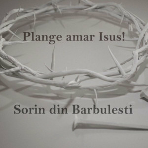 Sorin din Barbulesti - Plange Amar Isus! (2017)