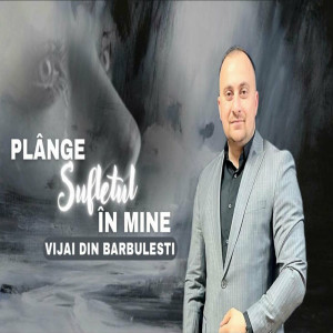 Vijai Din Barbulesti - Plânge Sufletul In Mine (2024)