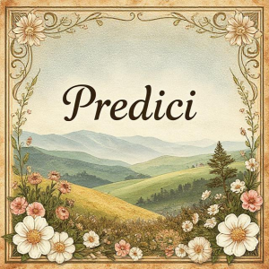 Vasile Bojor - Predici