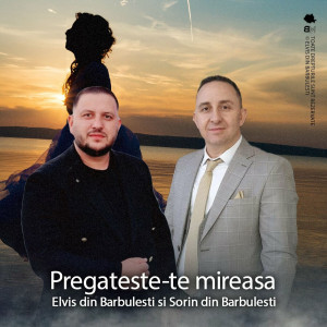 Elvis din Barbulesti - Pregateste-Te Mireasa (2023)