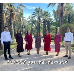 Alin Jucu - Privind Jos Pe Pamant