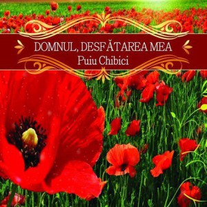 Puiu Chibici - Domnul Desfatarea Mea Negative Vol. 3 (2014)