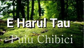 Puiu Chibici - E harul Tau (2011)