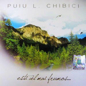 Puiu Chibici - Esti Cel-l Mai Frumos - Negative Originale