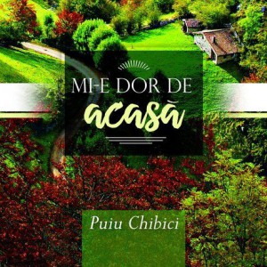 Puiu Chibici - Mi-e dor De-acasa Negative (2016)