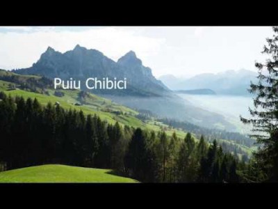 Puiu Chibici - Poarta Cerurilor