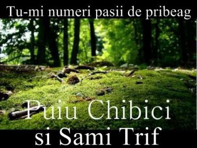 Puiu Chibici si Sami Trif - Tu-mi numeri pasii de pribeag (2006)