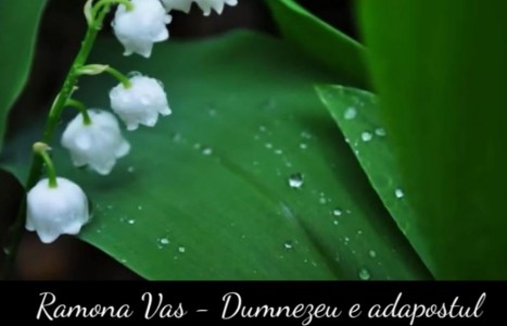 Ramona Vass - Dumnezeu e adapost Negative Vol.2